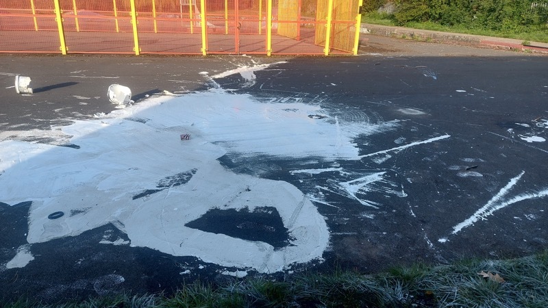 Other image for Appeal over park vandalism
